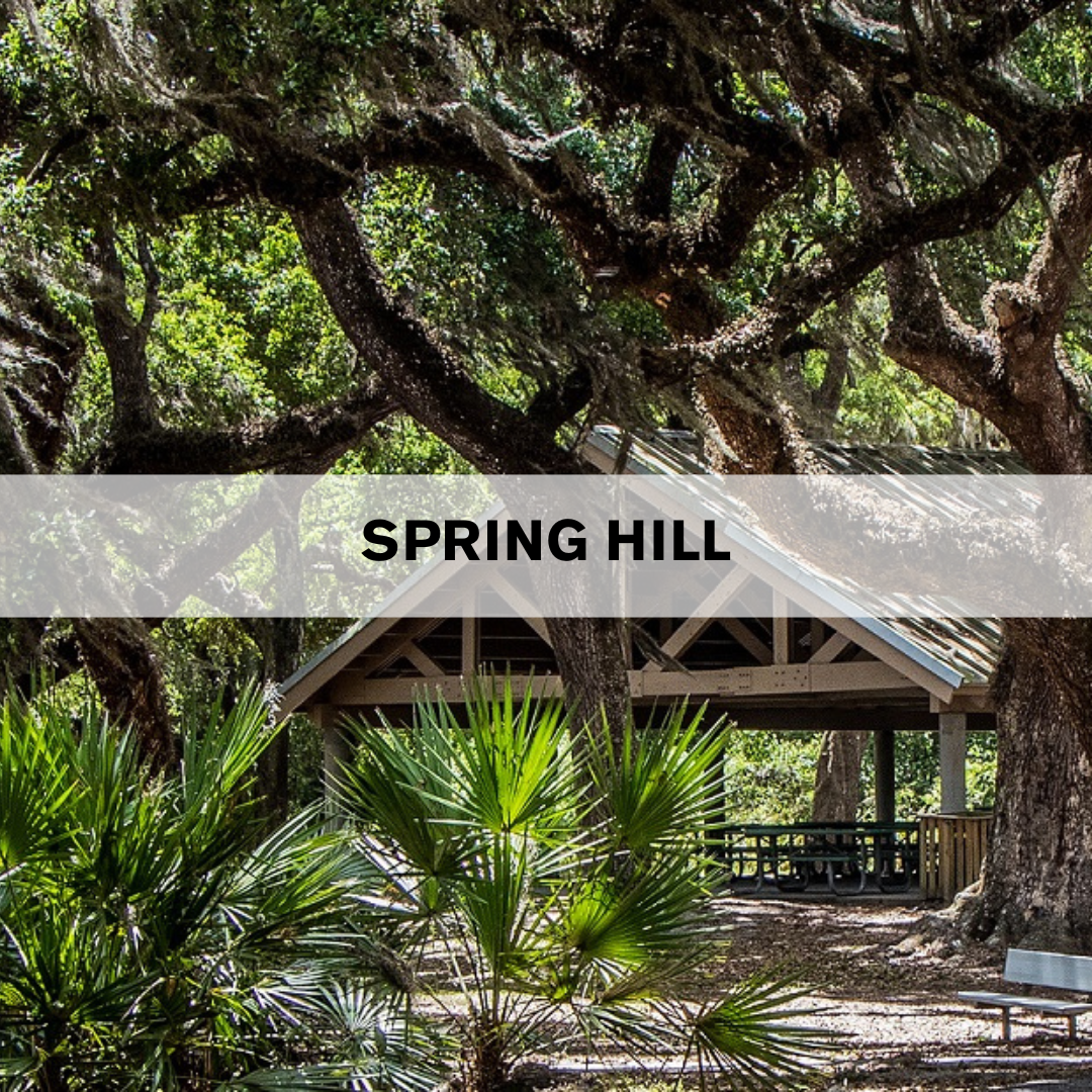 Spring Hill